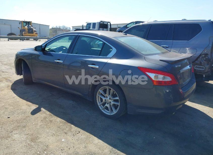 Photo 3 of 2010 Nissan Maxima 3.5 SV (VIN 1N4AA5AP5AC805685)