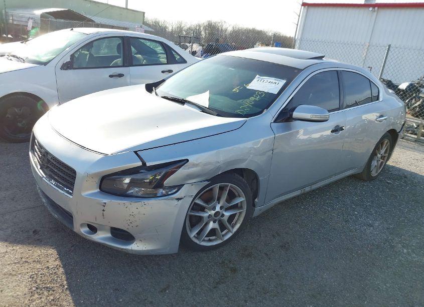 Photo 2 of 2010 Nissan Maxima 3.5 SV (VIN 1N4AA5AP5AC816881)