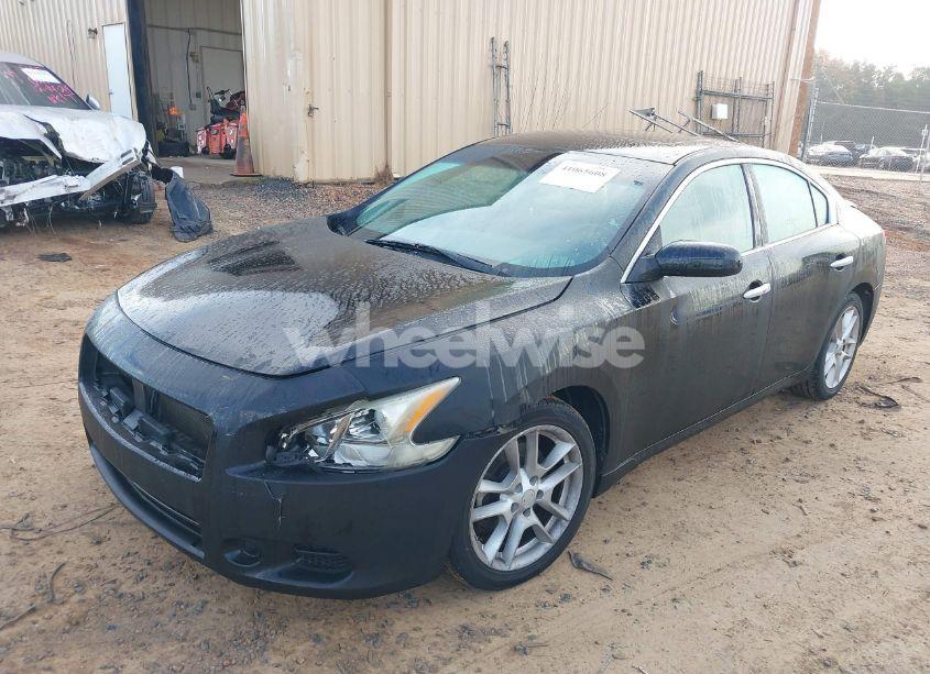 Photo 2 of 2010 Nissan Maxima 3.5 S (VIN 1N4AA5AP5AC819098)