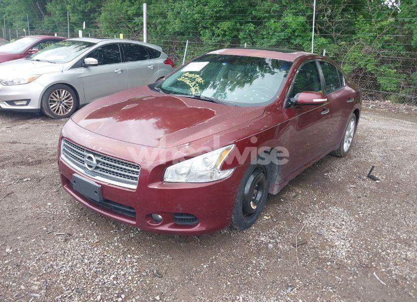 Photo 2 of 2010 Nissan Maxima 3.5 SV (VIN 1N4AA5AP5AC821966)