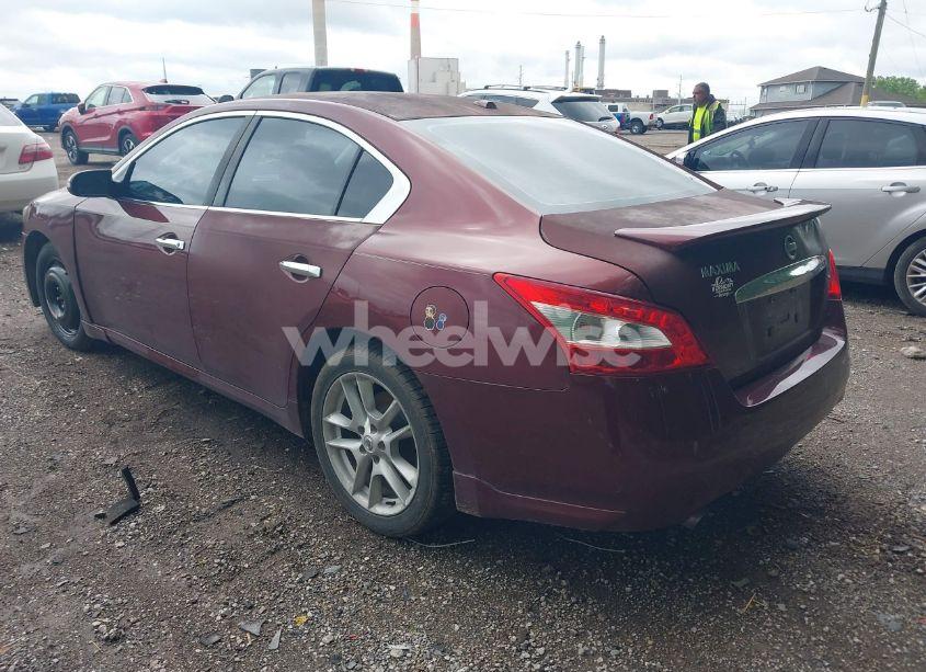 Photo 3 of 2010 Nissan Maxima 3.5 SV (VIN 1N4AA5AP5AC821966)