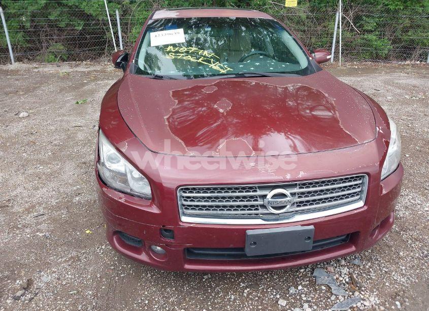 Photo 6 of 2010 Nissan Maxima 3.5 SV (VIN 1N4AA5AP5AC821966)