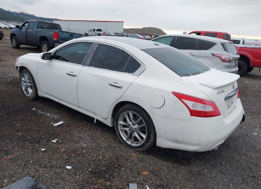 Photo 3 of 2010 Nissan Maxima 3.5 SV (VIN 1N4AA5AP5AC822602)