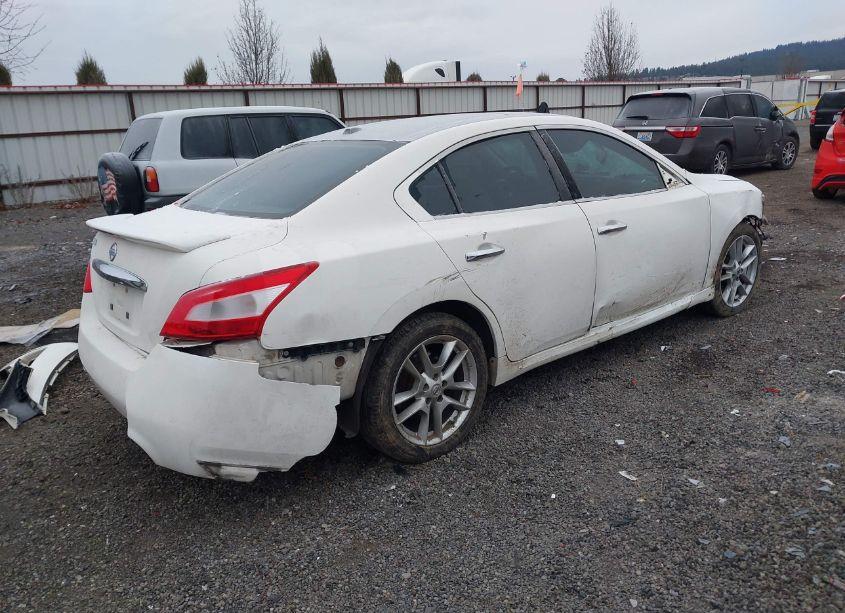 Photo 4 of 2010 Nissan Maxima 3.5 SV (VIN 1N4AA5AP5AC822602)