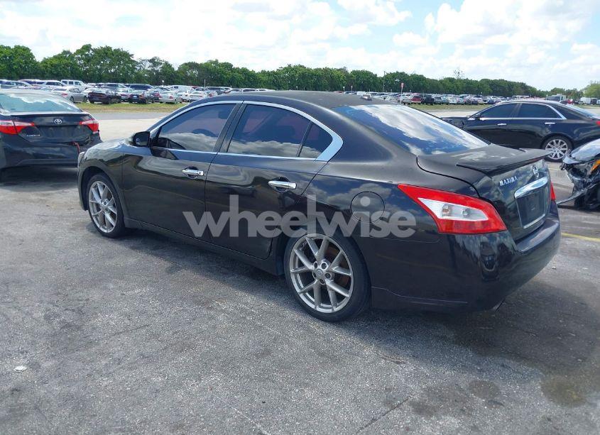 Photo 3 of 2010 Nissan Maxima 3.5 SV (VIN 1N4AA5AP5AC826827)