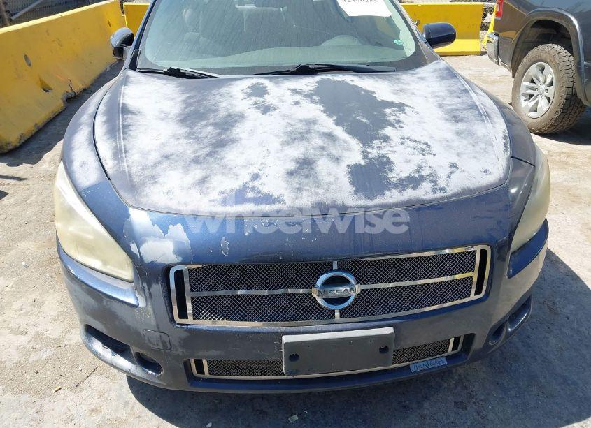 Photo 6 of 2010 Nissan Maxima 3.5 S (VIN 1N4AA5AP5AC837603)