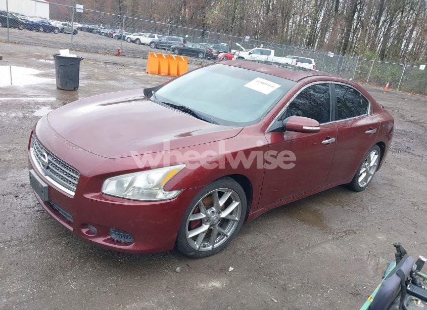 Photo 2 of 2010 Nissan Maxima 3.5 SV (VIN 1N4AA5AP5AC852702)