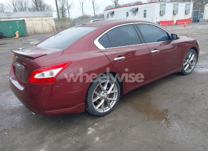 Photo 4 of 2010 Nissan Maxima 3.5 SV (VIN 1N4AA5AP5AC852702)