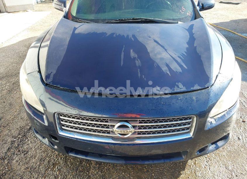 Photo 10 of 2010 Nissan Maxima 3.5 S (VIN 1N4AA5AP5AC854692)