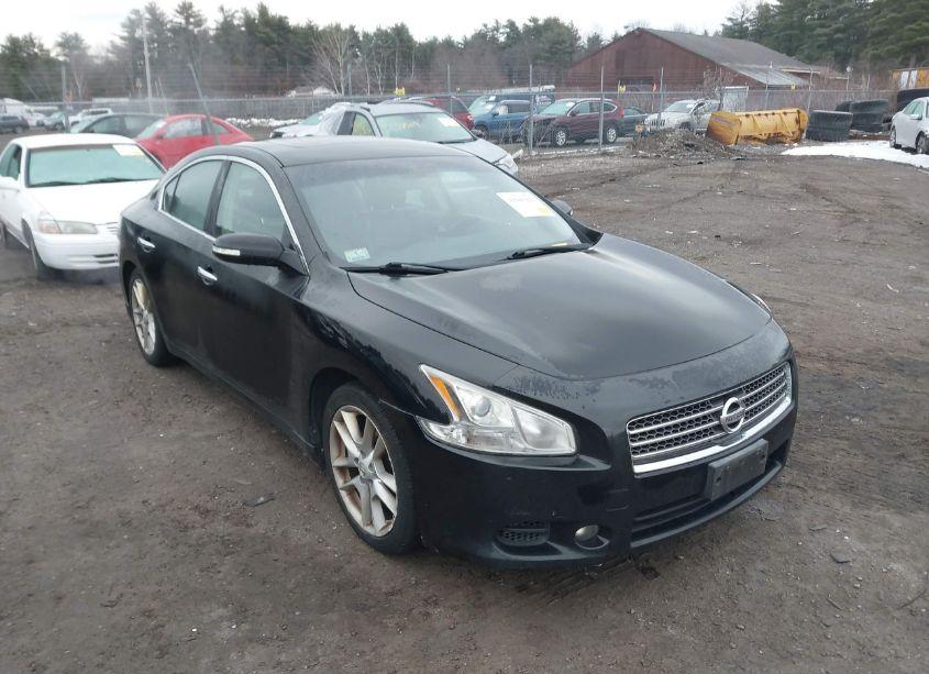 2010 Nissan Maxima 3.5 SV (VIN 1N4AA5AP5AC870746) main photo