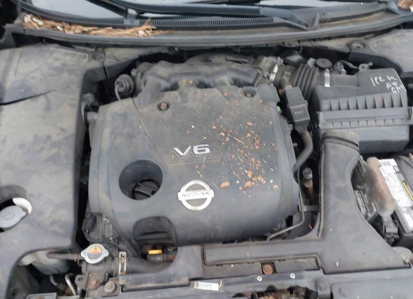Photo 10 of 2010 Nissan Maxima 3.5 SV (VIN 1N4AA5AP5AC870746)