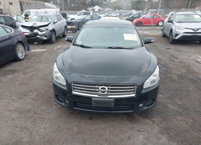 Photo 12 of 2010 Nissan Maxima 3.5 SV (VIN 1N4AA5AP5AC870746)