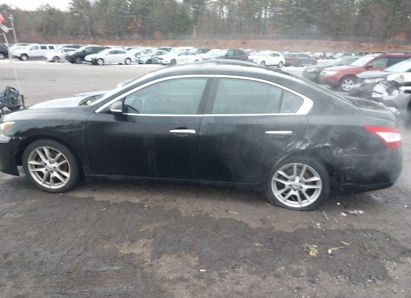 Photo 14 of 2010 Nissan Maxima 3.5 SV (VIN 1N4AA5AP5AC870746)