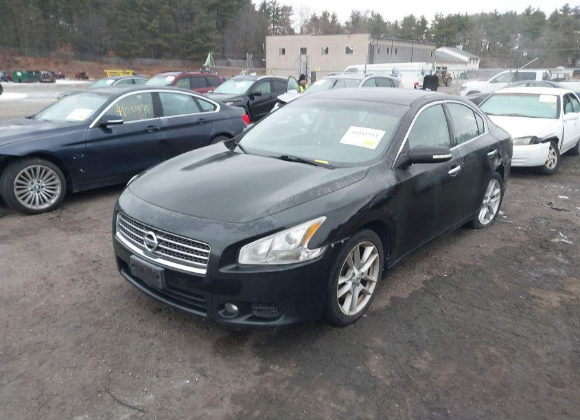 Photo 2 of 2010 Nissan Maxima 3.5 SV (VIN 1N4AA5AP5AC870746)