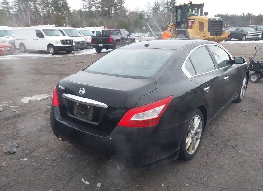 Photo 4 of 2010 Nissan Maxima 3.5 SV (VIN 1N4AA5AP5AC870746)