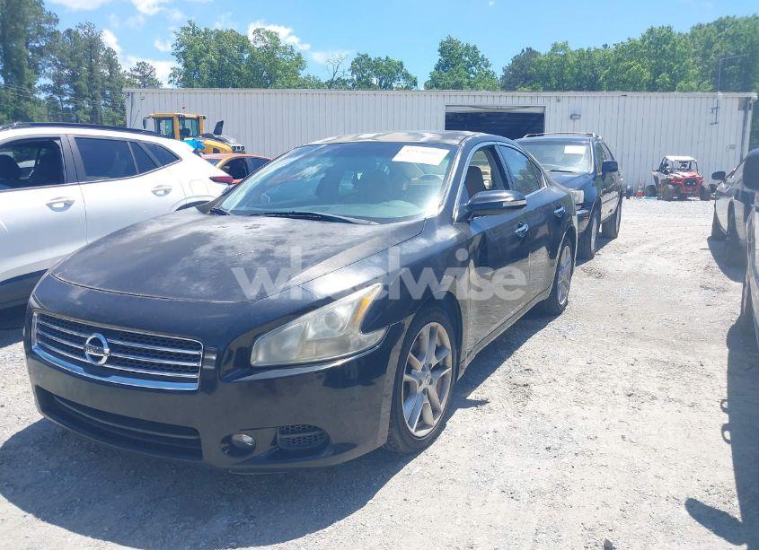 Photo 2 of 2011 Nissan Maxima 3.5 SV (VIN 1N4AA5AP5BC818907)
