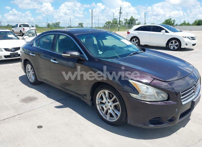 2011 Nissan Maxima 3.5 SV (VIN 1N4AA5AP5BC855939) main photo