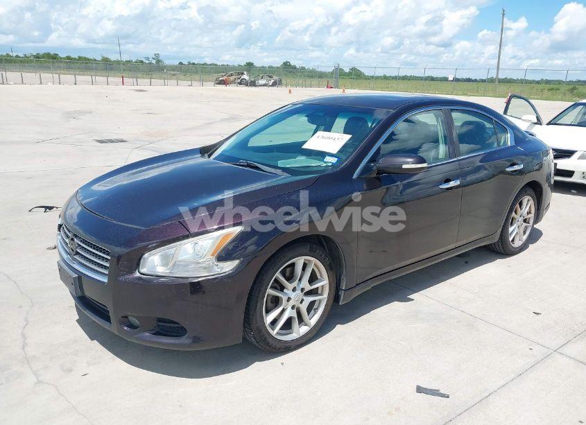 Photo 2 of 2011 Nissan Maxima 3.5 SV (VIN 1N4AA5AP5BC855939)