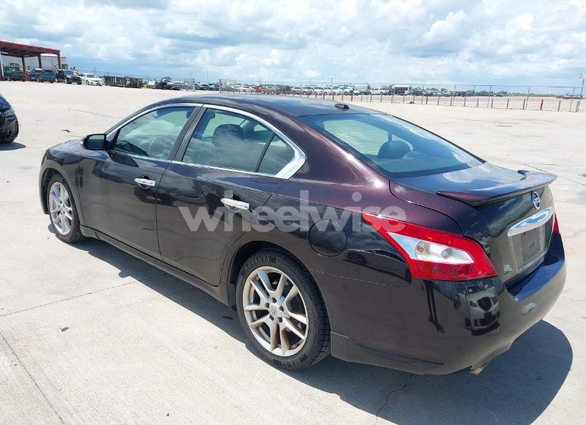Photo 3 of 2011 Nissan Maxima 3.5 SV (VIN 1N4AA5AP5BC855939)