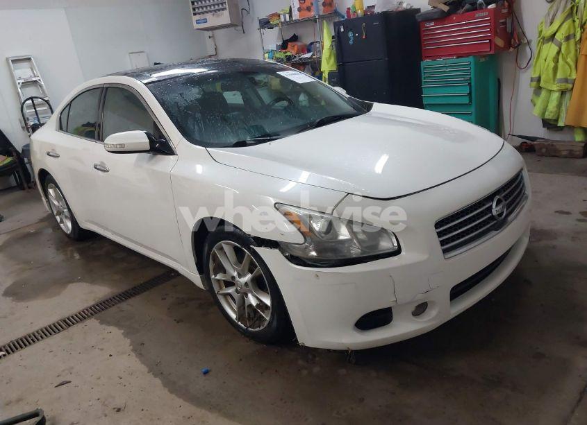 2011 Nissan Maxima 3.5 SV (VIN 1N4AA5AP5BC859084) main photo