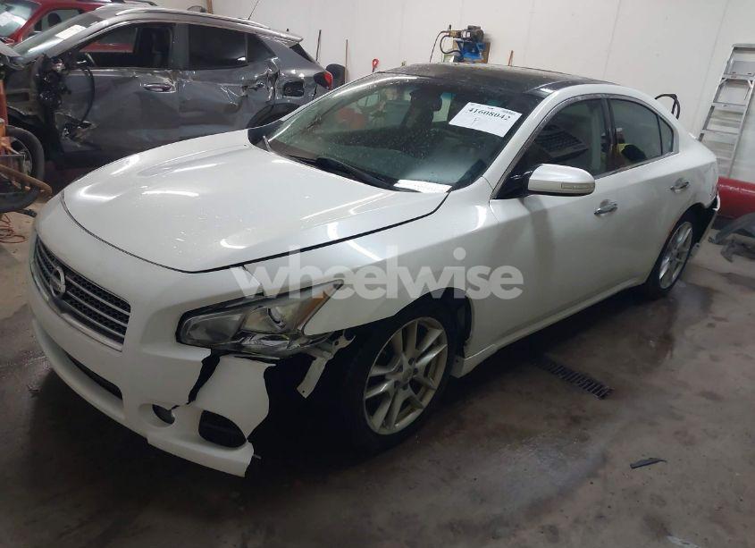Photo 2 of 2011 Nissan Maxima 3.5 SV (VIN 1N4AA5AP5BC859084)