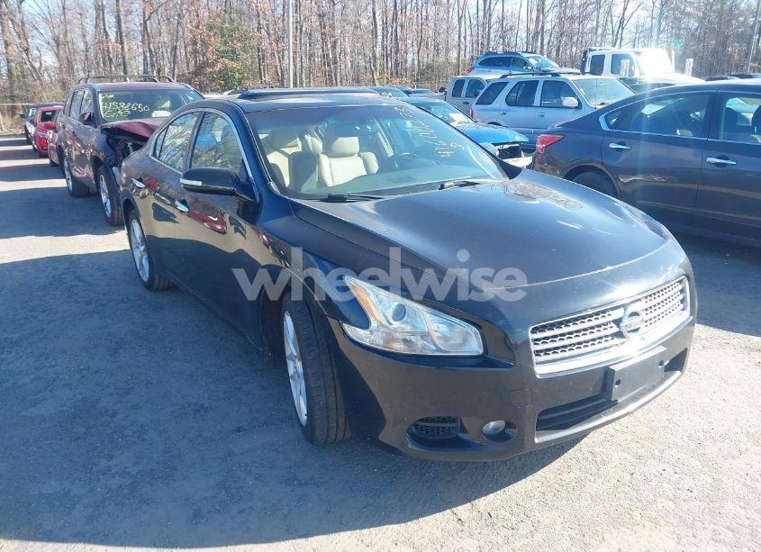 2011 Nissan Maxima 3.5 SV (VIN 1N4AA5AP5BC859862) main photo