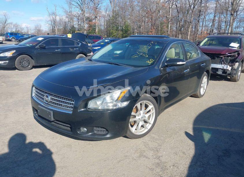 Photo 2 of 2011 Nissan Maxima 3.5 SV (VIN 1N4AA5AP5BC859862)
