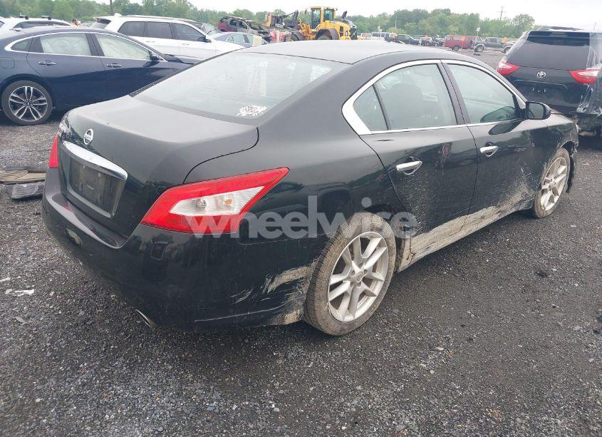 Photo 4 of 2011 Nissan Maxima 3.5 S (VIN 1N4AA5AP5BC862230)