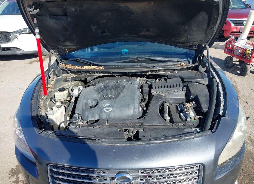 Photo 10 of 2012 Nissan Maxima 3.5 SV (VIN 1N4AA5AP5CC809349)