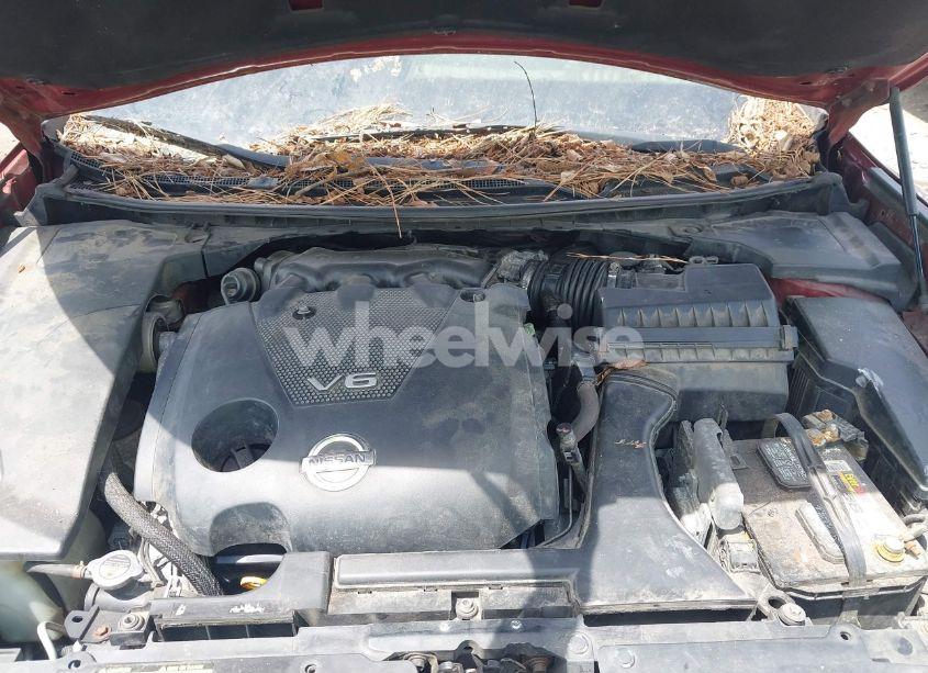 Photo 10 of 2013 Nissan Maxima 3.5 SV (VIN 1N4AA5AP5DC828131)