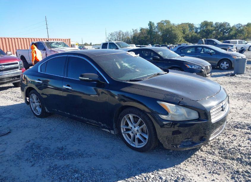 2010 Nissan Maxima 3.5 SV (VIN 1N4AA5AP6AC804738) main photo