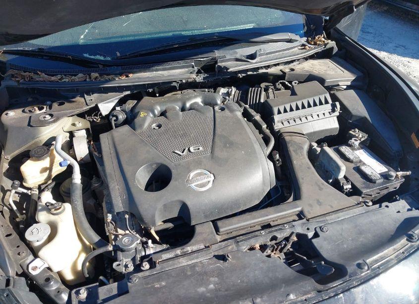 Photo 10 of 2010 Nissan Maxima 3.5 SV (VIN 1N4AA5AP6AC804738)