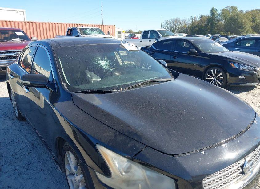 Photo 6 of 2010 Nissan Maxima 3.5 SV (VIN 1N4AA5AP6AC804738)