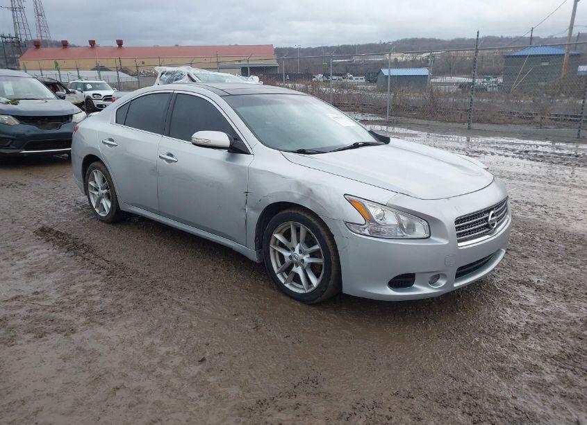 2010 Nissan Maxima 3.5 SV (VIN 1N4AA5AP6AC805517) main photo