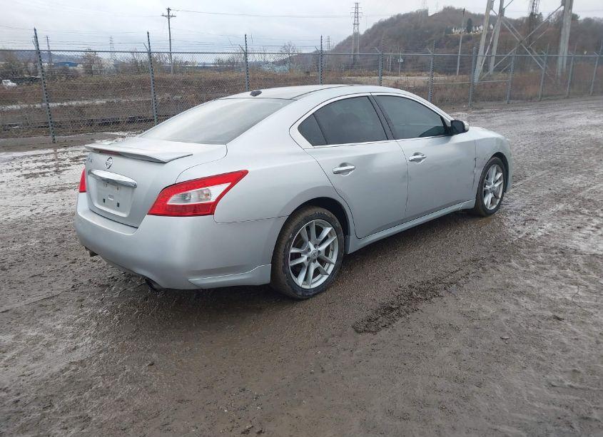 Photo 4 of 2010 Nissan Maxima 3.5 SV (VIN 1N4AA5AP6AC805517)