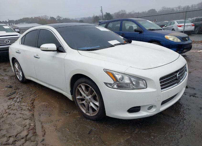 2010 Nissan Maxima 3.5 SV (VIN 1N4AA5AP6AC808014) main photo