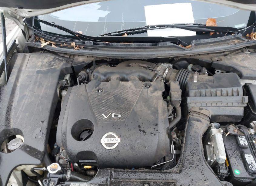 Photo 10 of 2010 Nissan Maxima 3.5 SV (VIN 1N4AA5AP6AC808014)