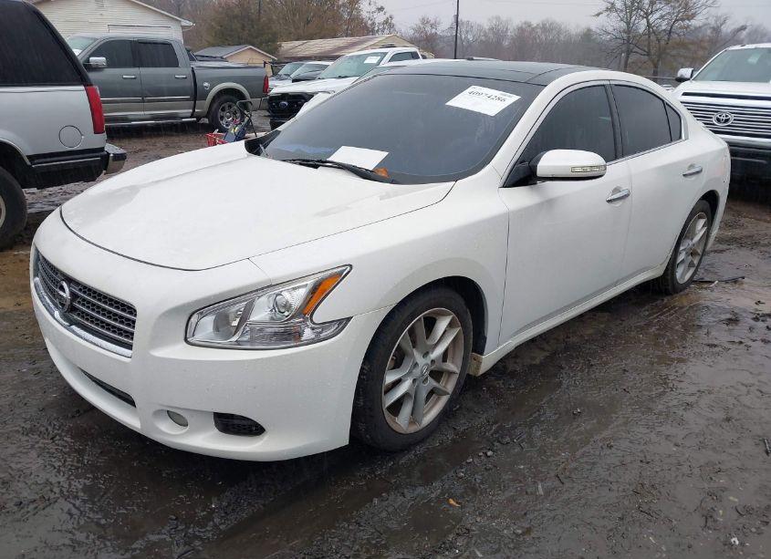 Photo 2 of 2010 Nissan Maxima 3.5 SV (VIN 1N4AA5AP6AC808014)