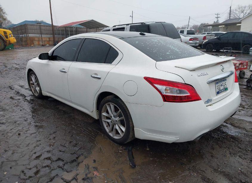 Photo 3 of 2010 Nissan Maxima 3.5 SV (VIN 1N4AA5AP6AC808014)