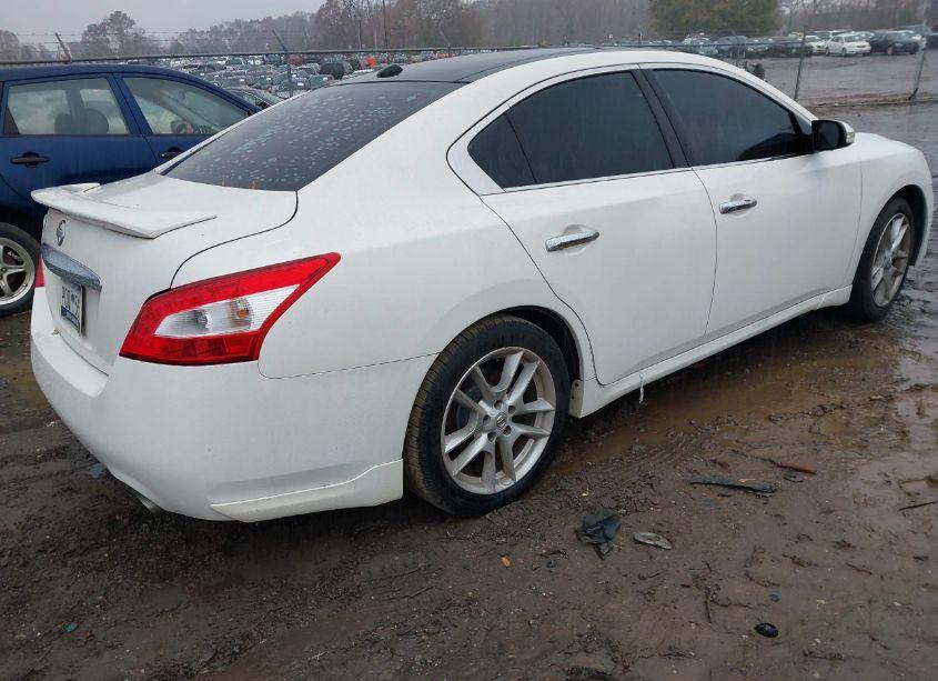 Photo 4 of 2010 Nissan Maxima 3.5 SV (VIN 1N4AA5AP6AC808014)