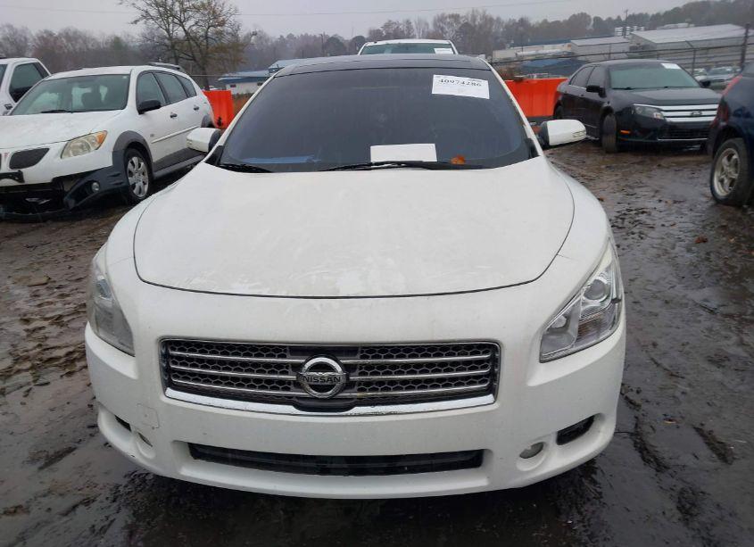 Photo 6 of 2010 Nissan Maxima 3.5 SV (VIN 1N4AA5AP6AC808014)