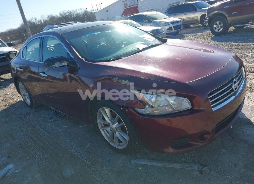 2010 Nissan Maxima 3.5 SV W/PREMIUM PKG (VIN 1N4AA5AP6AC808501) main photo