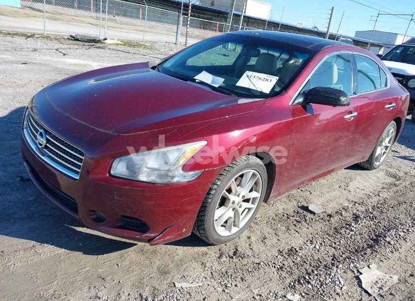 Photo 2 of 2010 Nissan Maxima 3.5 SV W/PREMIUM PKG (VIN 1N4AA5AP6AC808501)