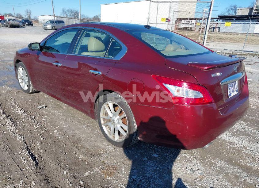 Photo 3 of 2010 Nissan Maxima 3.5 SV W/PREMIUM PKG (VIN 1N4AA5AP6AC808501)