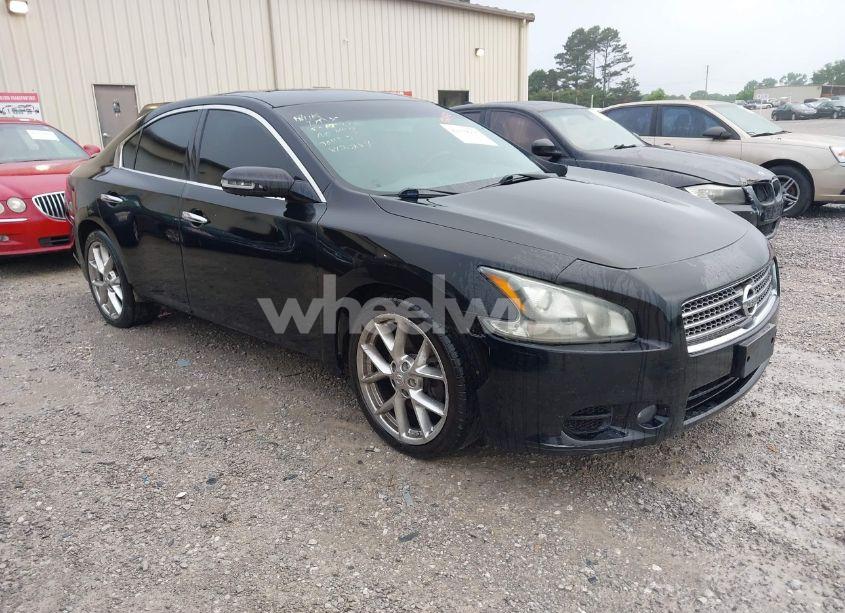 2010 Nissan Maxima 3.5 SV (VIN 1N4AA5AP6AC812287) main photo