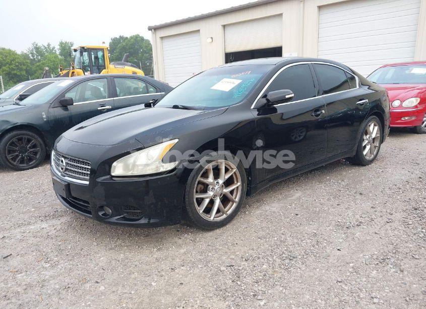 Photo 2 of 2010 Nissan Maxima 3.5 SV (VIN 1N4AA5AP6AC812287)