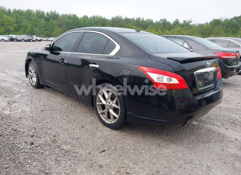 Photo 3 of 2010 Nissan Maxima 3.5 SV (VIN 1N4AA5AP6AC812287)