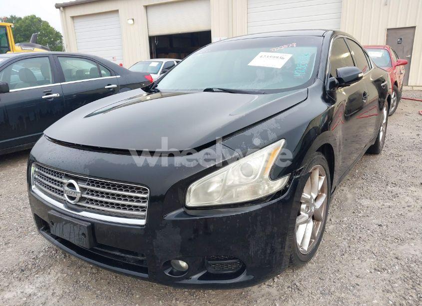 Photo 6 of 2010 Nissan Maxima 3.5 SV (VIN 1N4AA5AP6AC812287)