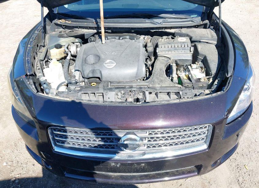 Photo 10 of 2010 Nissan Maxima 3.5 SV (VIN 1N4AA5AP6AC818249)