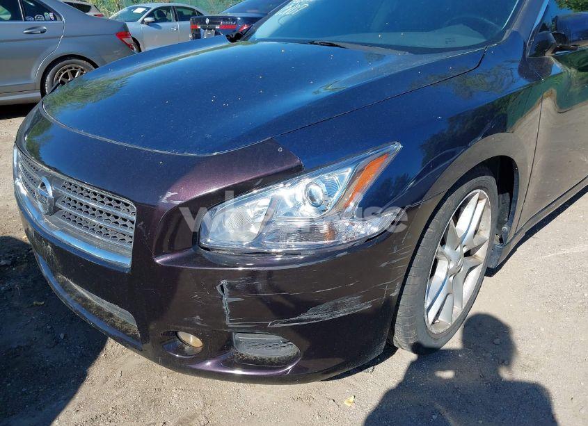 Photo 14 of 2010 Nissan Maxima 3.5 SV (VIN 1N4AA5AP6AC818249)